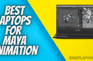 Best Laptops for Maya Animation