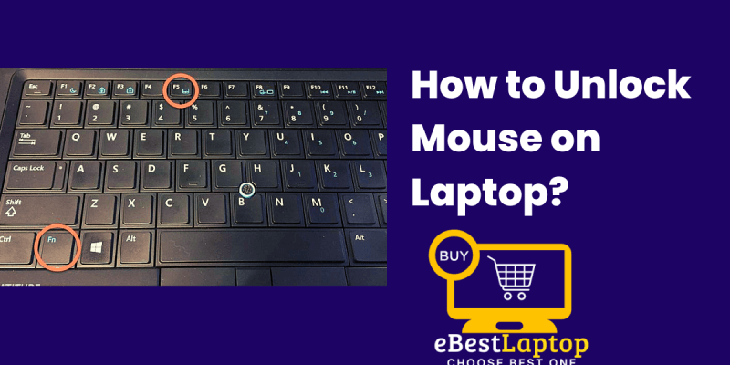 How to Unlock Mouse on Laptop?